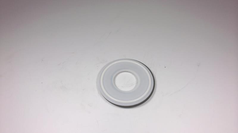 NEWMAN SANITARY GASKET CO 40RX-GR-V-1