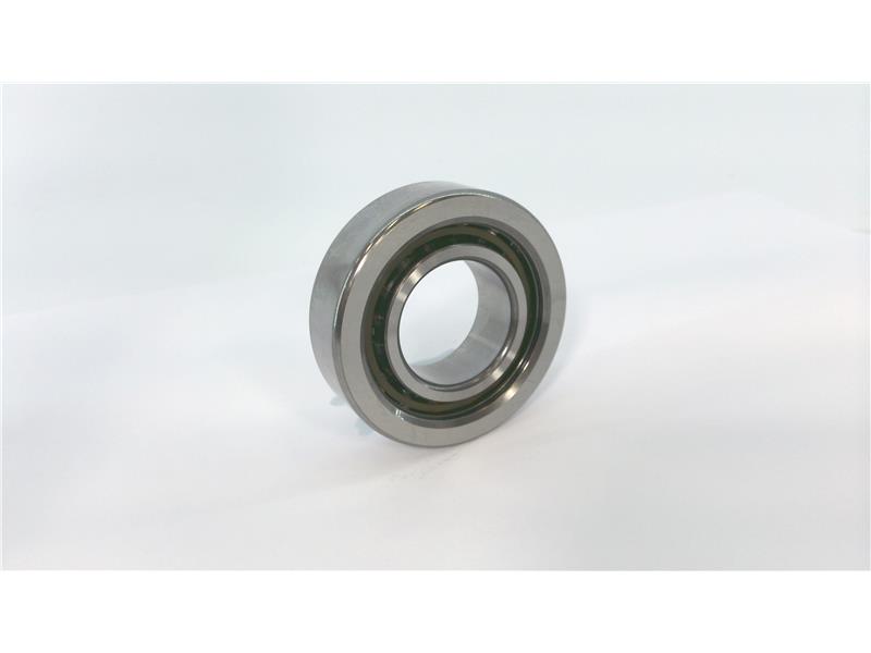 SCHAEFFLER GROUP 7602025-TVP