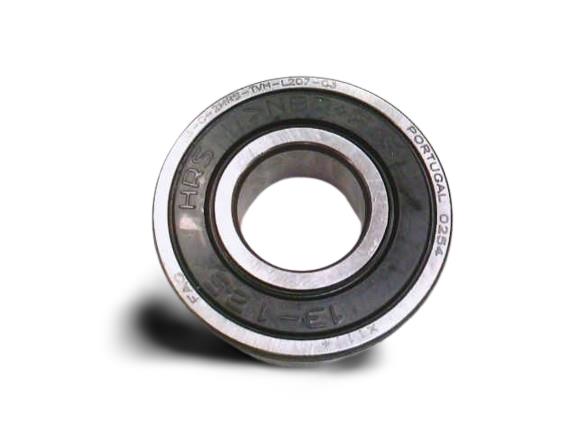 SCHAEFFLER GROUP HC6203-C-2HRS-TVH-L207-C3