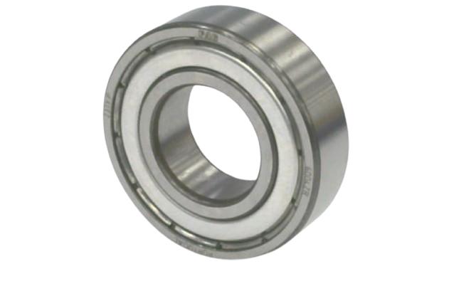 SCHAEFFLER GROUP 6004ZR