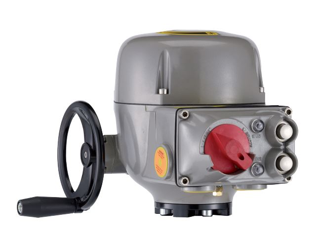 E013A4W5000 by EMERSON