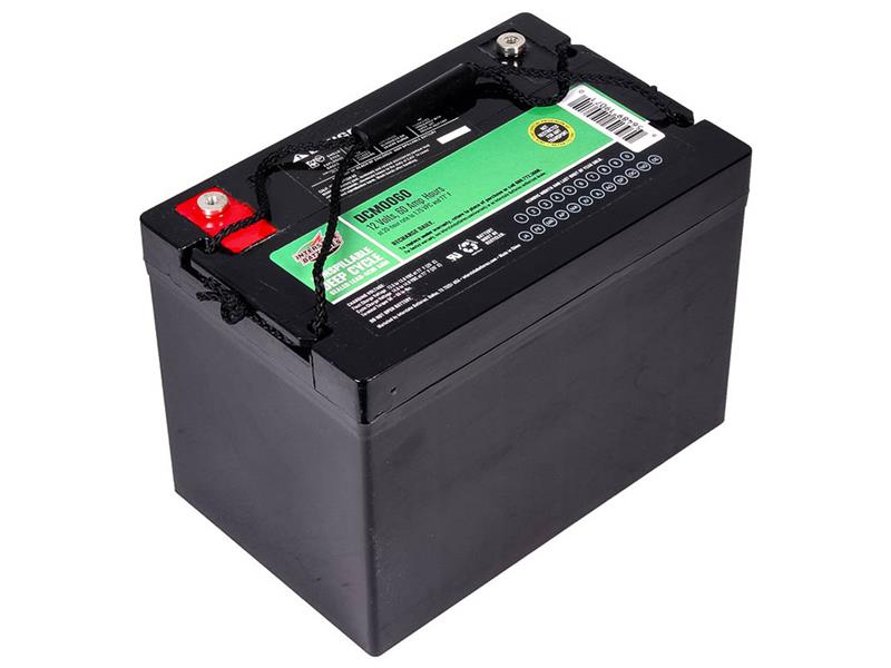 INTERSTATE BATTERIES DCM0060