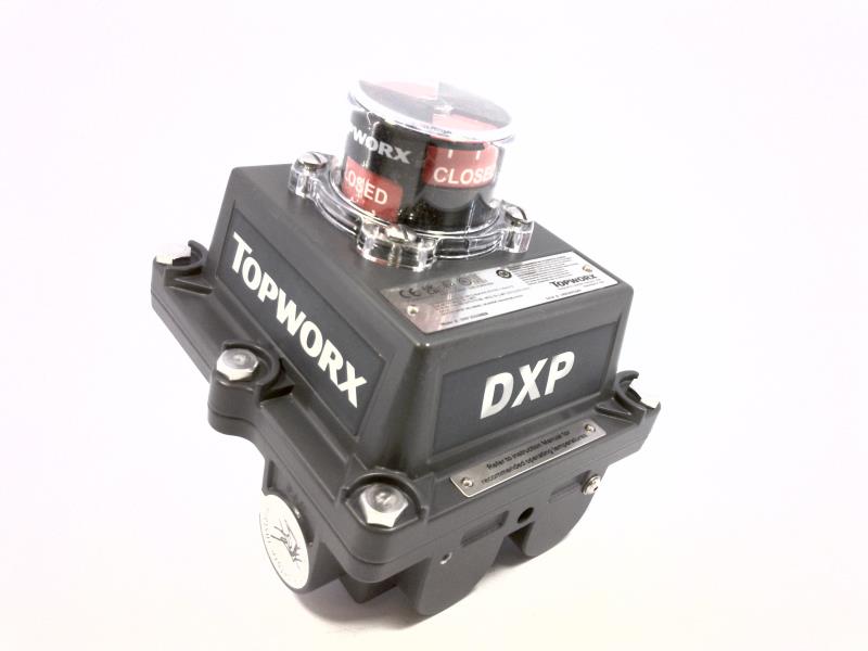 TOPWORX DXP-Z21GNEB