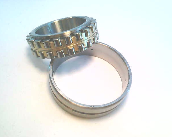 SCHAEFFLER GROUP NN3009-AS-M-SP