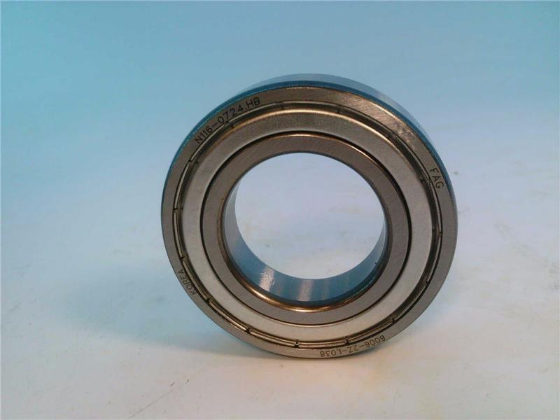 SCHAEFFLER GROUP 6006-2Z-L038