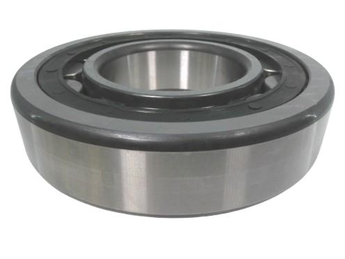 SCHAEFFLER GROUP NU317-E-TVP2