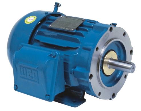 WEG 00318ST3QIE182TC-W22