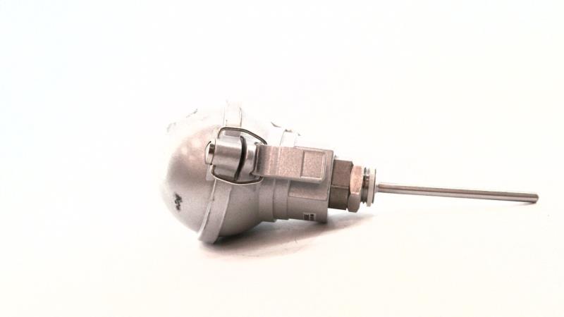 CORREGE CSRIF/100/2XPT100/CLA/D6/RS1