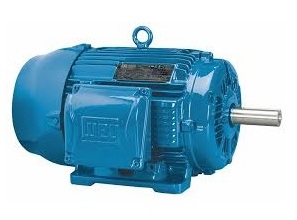 WEG 02518ET3E284T-W22G