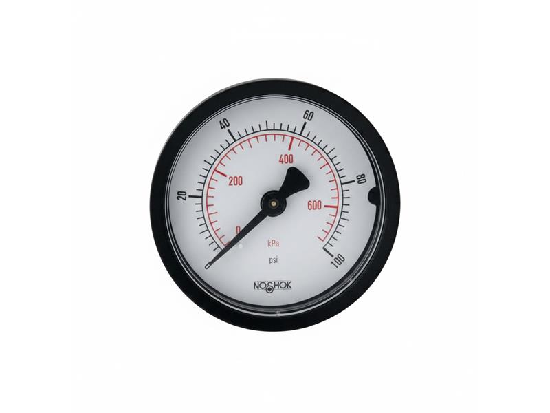 20-110-60-PSI/KG/CM2-SSB-PMC-BP3 by NOSHOK