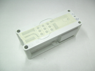 WILDEN 04-2000-20-700