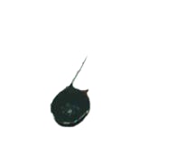 ECG-524V15 by PHILIPS