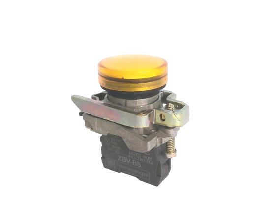 SCHNEIDER ELECTRIC XB4BVB5