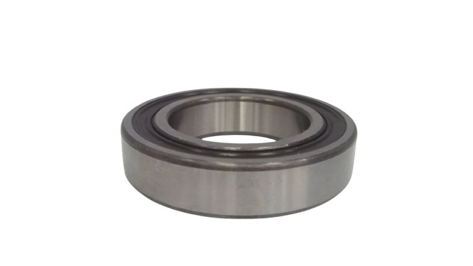 SKF 6009-2RS1