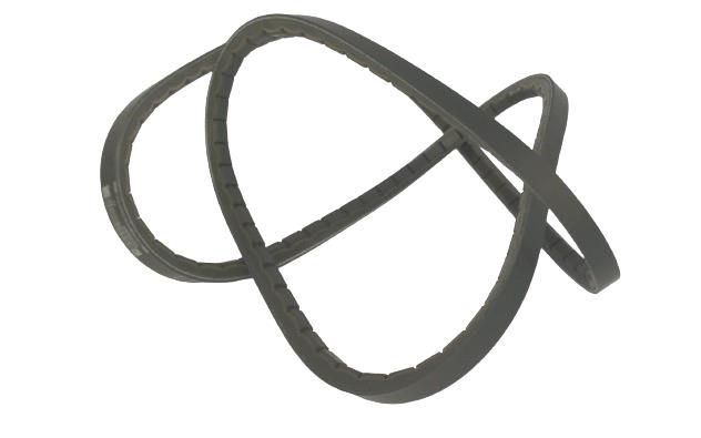 REGAL REXNORD 5VX830