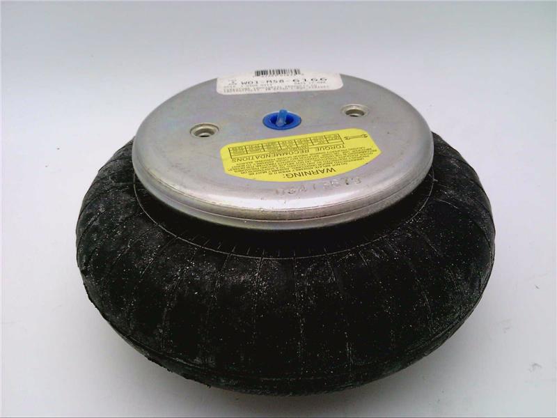 FIRESTONE W01-M58-6166