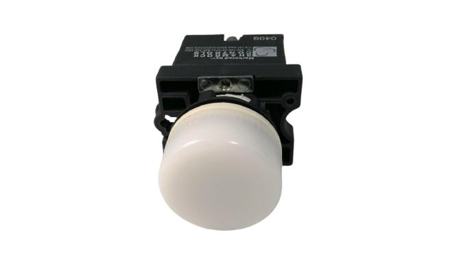 SHAMROCK RCP2-BV61-12