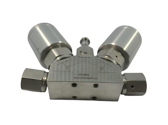 SWAGELOK 6LVV-P2V222P-AA