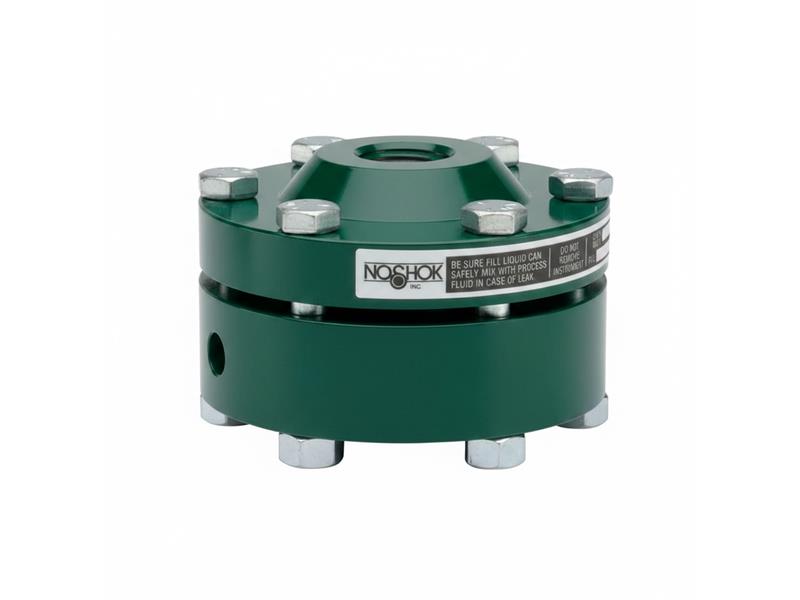 NOSHOK 30-02C-S-R-02C-1F
