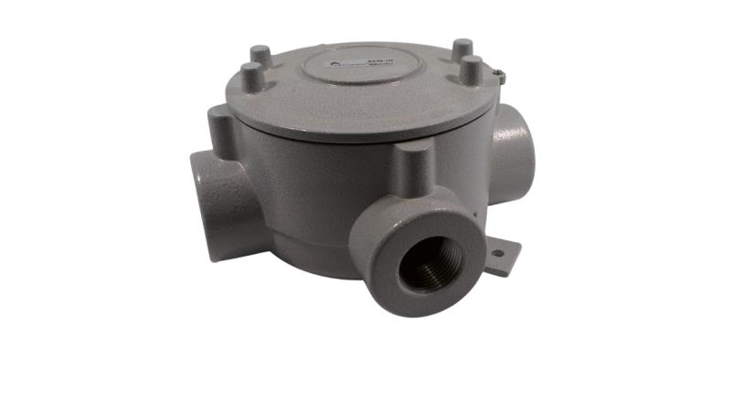 CORTEM GROUP SX39.1N