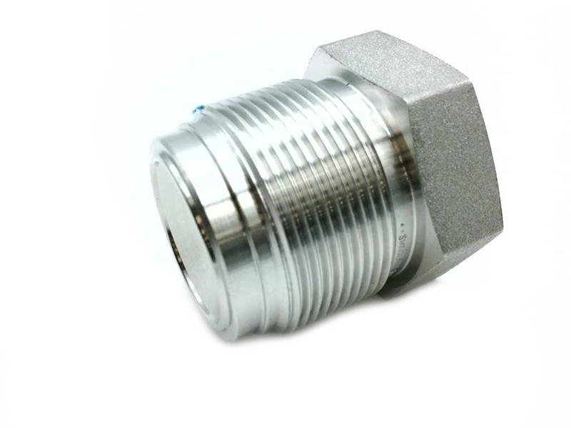 SWAGELOK SS-12-VCR-P