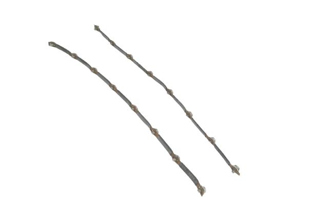 SCHNEIDER ELECTRIC 8030-CBP105