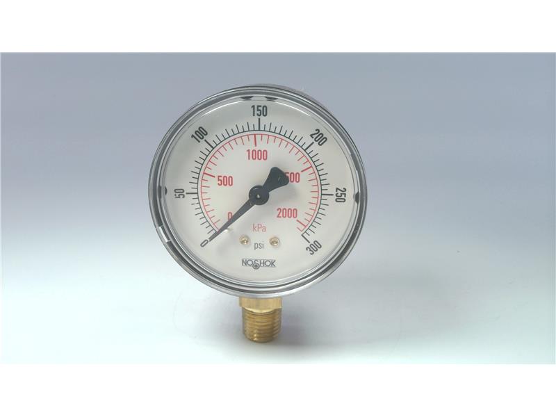 NOSHOK 25-100-300-PSI/KPA