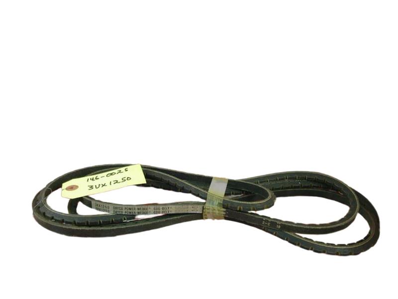 DAYCO 3VX1250