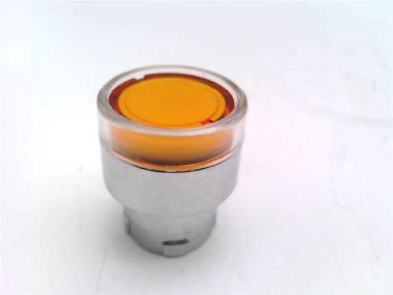 SHAMROCK RB2-BW 05 Y