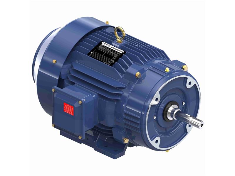 REGAL REXNORD 213TTFCD6006