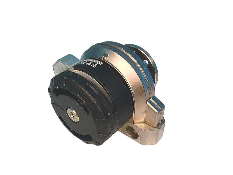 DSRL-1/2"-180-P-FW by FESTO