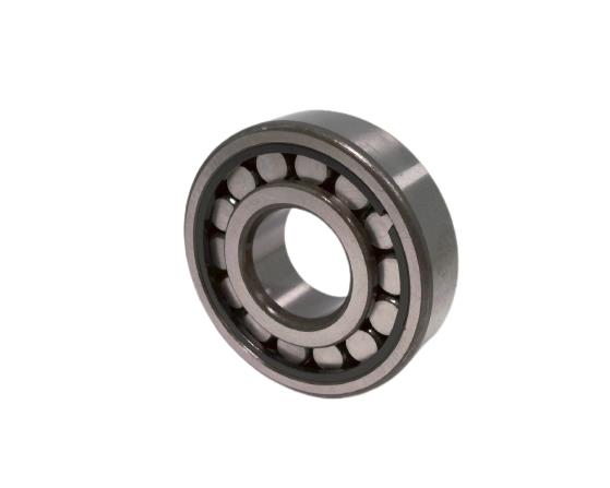 BCA BEARING NBMU1305TM
