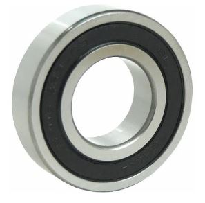 SCHAEFFLER GROUP 6009-RSR