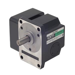 ORIENTAL MOTOR 5GU180RA