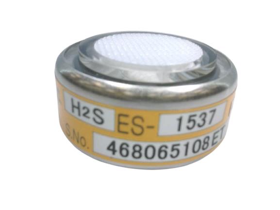 RKI INSTRUMENTS ES-1537-H2S 