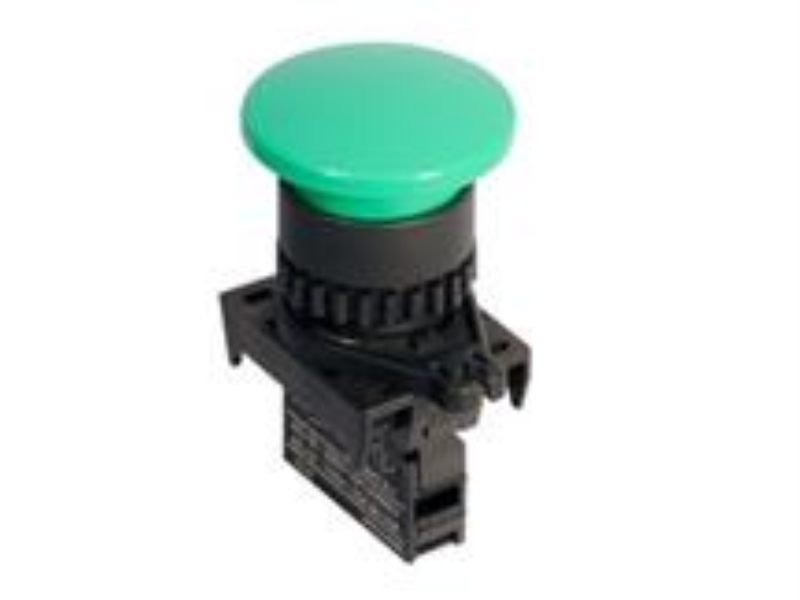 S2BR-P1GAB by AUTONICS