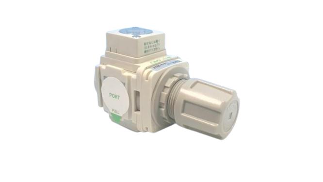 CKD CORP R1000-8-W-LT8