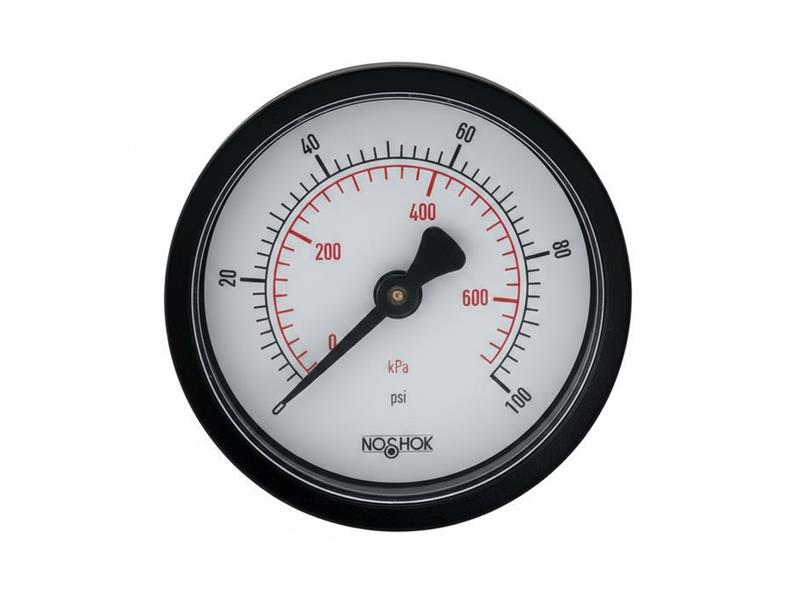 NOSHOK 20-110-60-PSI/KPA-1/8-SSB-PMC-BP3
