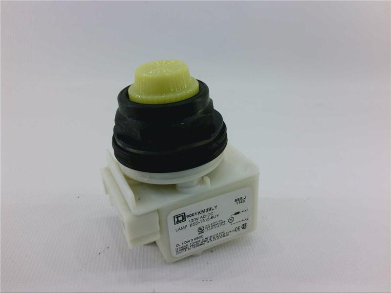 SCHNEIDER ELECTRIC 9001-SKP38LYY31