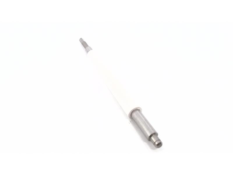 ZEBRA 43736