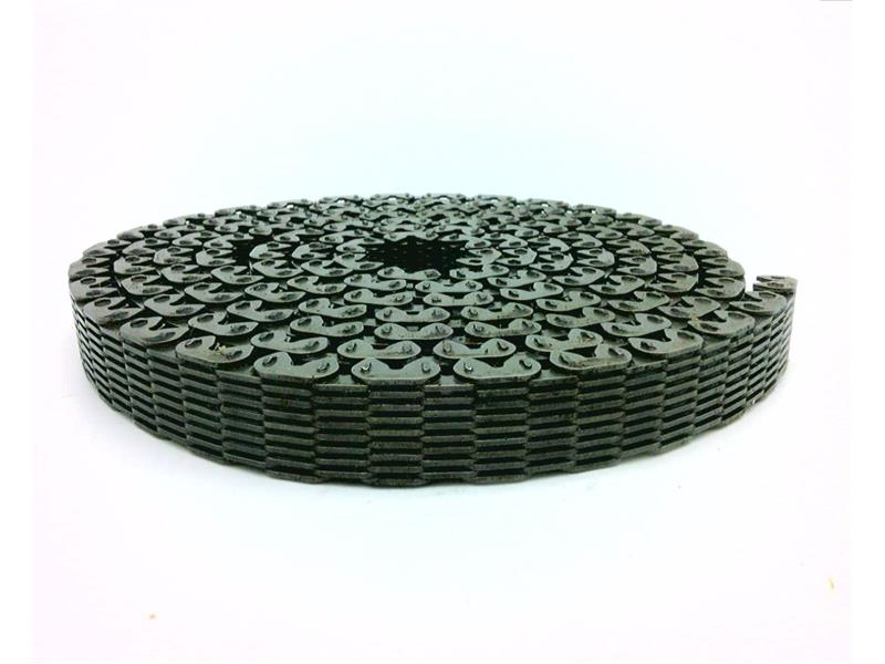 REGAL REXNORD SC404 CG 10FT