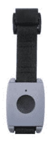 NORTEK 2GIG-PHB1-345