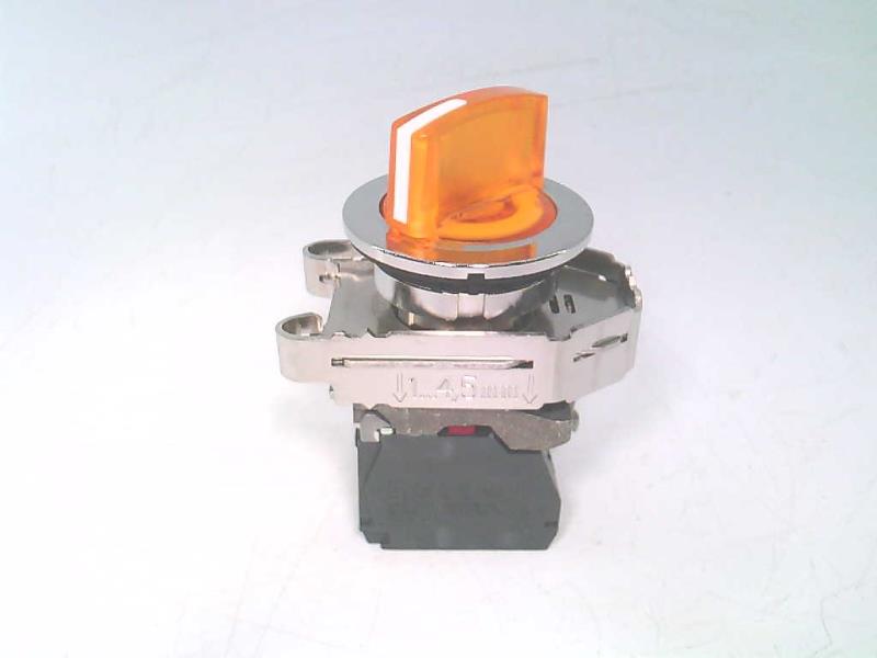 SCHNEIDER ELECTRIC XB4FK125B5