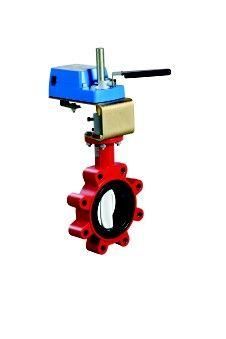 VFN050LB+924GGC by JOHNSON CONTROLS