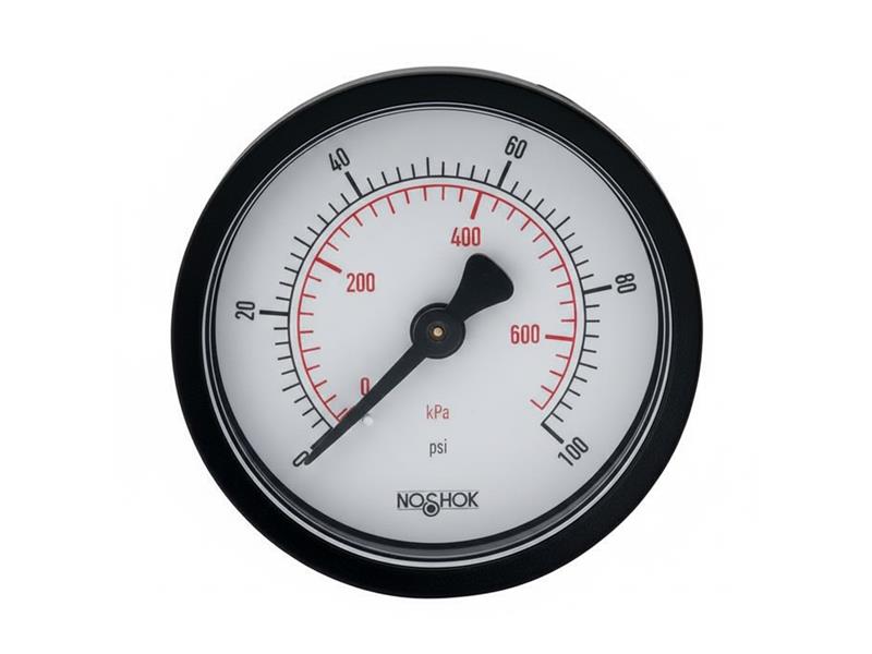 NOSHOK 20-110-60-PSI/KG/CM2-SSB-PMC-CC