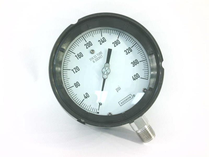 NOSHOK 45-740-400PSI-1/2-MIP