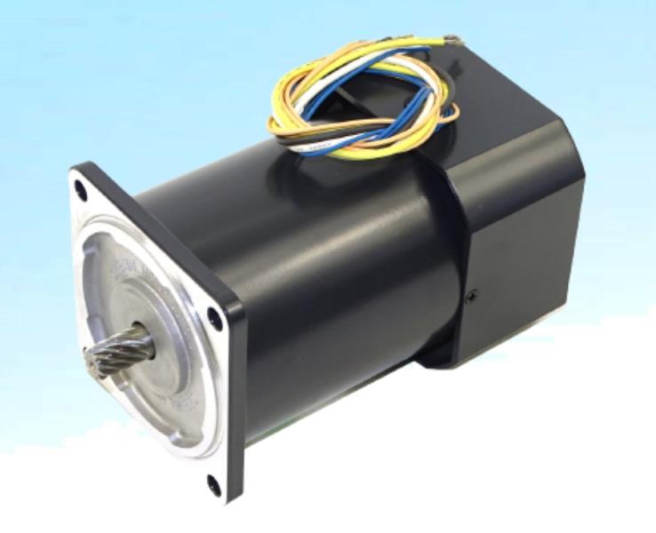 ORIENTAL MOTOR 5IK60RGU-AFP