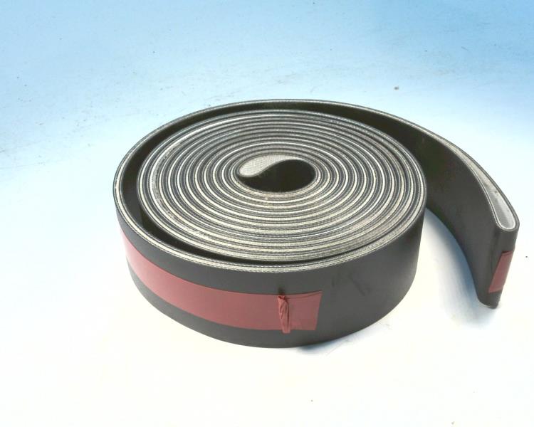 AMMERAAL BELTECH INC 574451