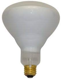 120BR/FL60-120V by PHILIPS