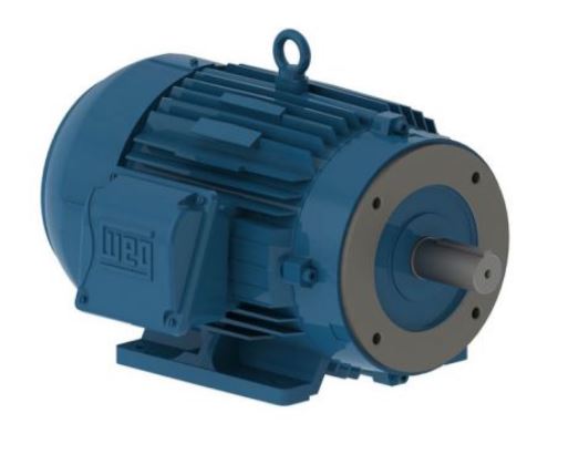 WEG 00212ET3YAL132S-W2